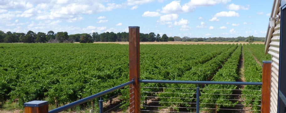 Alice's Bed & Breakfast - Vineyard